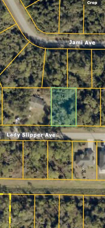 Property for sale at LADY SLIPPER AVENUE, NORTH PORT, FL, 34291