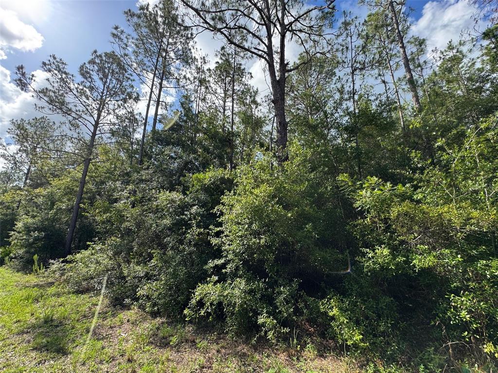 Property for sale at Lot#11 SW SOUTH BEACH COURT, DUNNELLON, FL, 34431