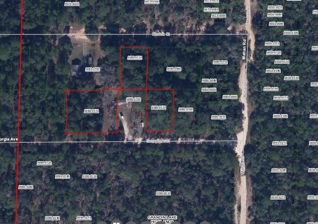 Property for sale at 00 GEORGIA AVENUE, INTERLACHEN, FL, 32148