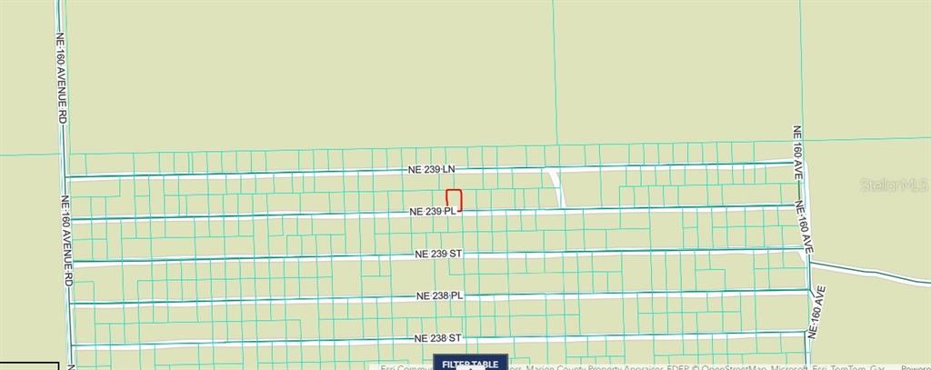 Property for sale at NE 243RD PLACE RD, FORT MC COY, FL, 32134