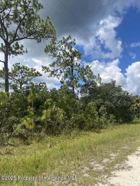 Property for sale at 10194 YELLOW FROG AVENUE, WEEKI WACHEE, FL, 34614