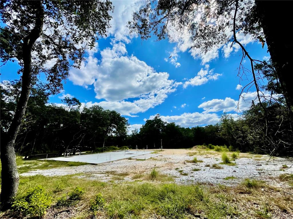 Property for sale at 47125 EAST AVENUE, PAISLEY, FL, 32767