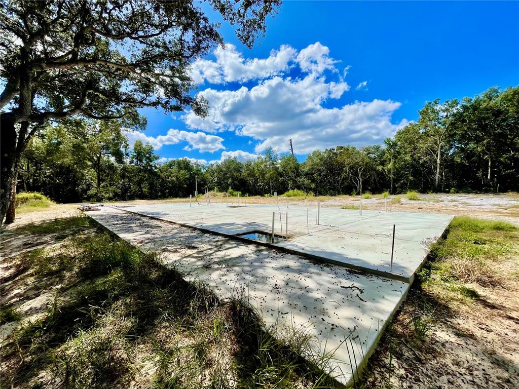 Property for sale at 47125 EAST AVENUE, PAISLEY, FL, 32767