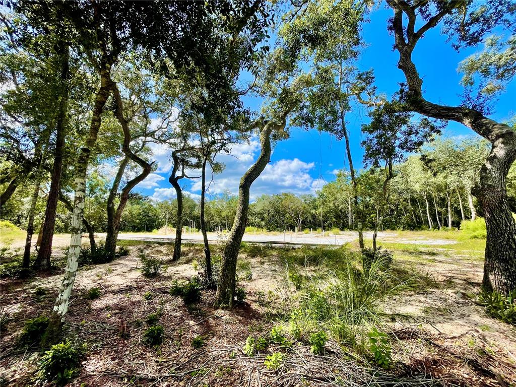 Property for sale at 47125 EAST AVENUE, PAISLEY, FL, 32767