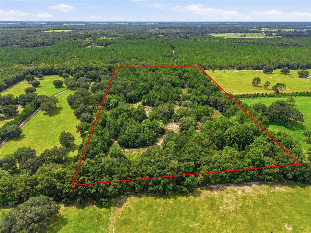Property for sale at SE 207 COURT, MORRISTON, FL, 32668