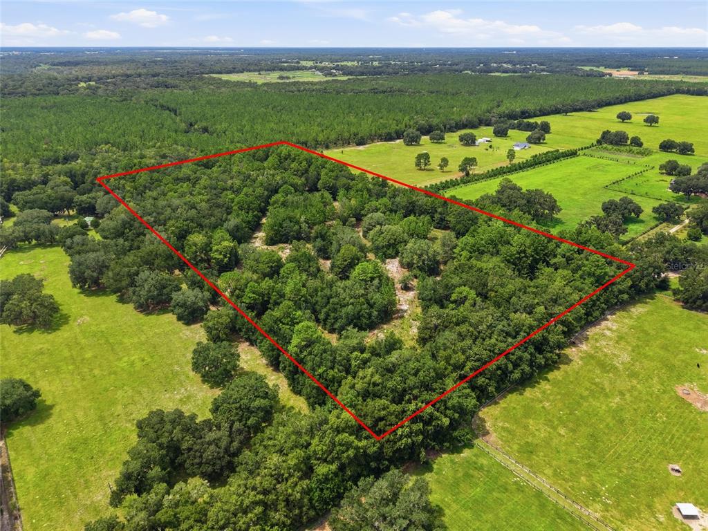 Property for sale at SE 207 COURT, MORRISTON, FL, 32668