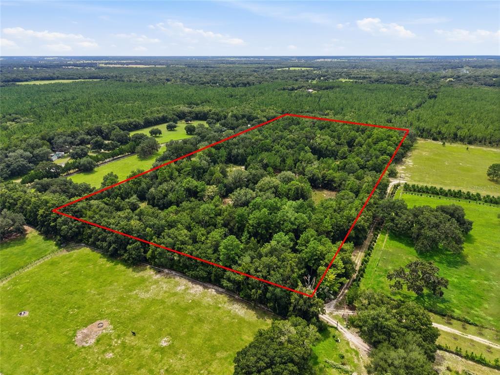 Property for sale at SE 207 COURT, MORRISTON, FL, 32668