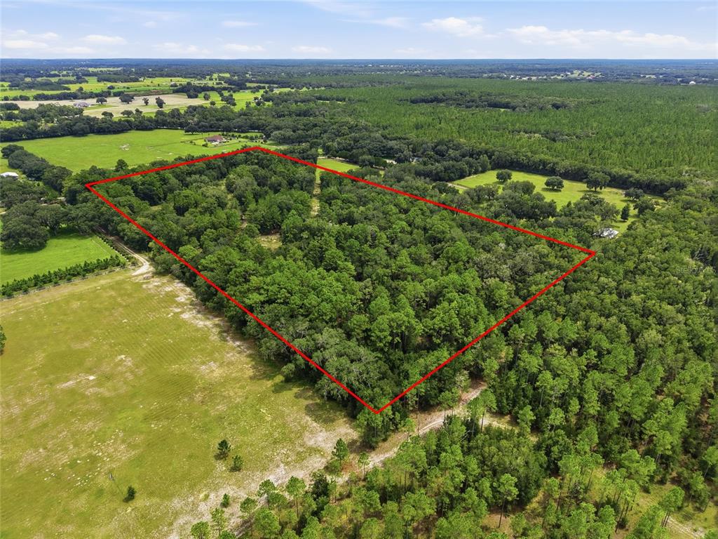 Property for sale at SE 207 COURT, MORRISTON, FL, 32668
