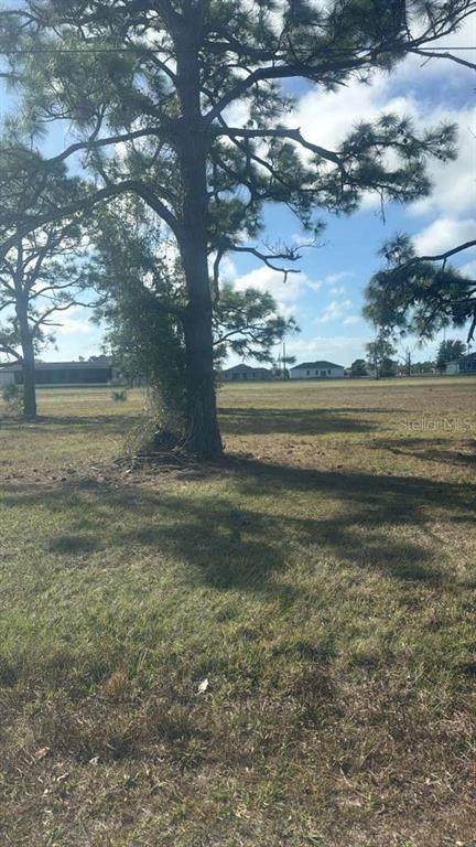 Property for sale at 19 CARLINE LANE, PLACIDA, FL, 33946