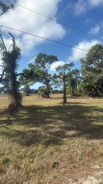 Property for sale at 19 CARLINE LANE, PLACIDA, FL, 33946