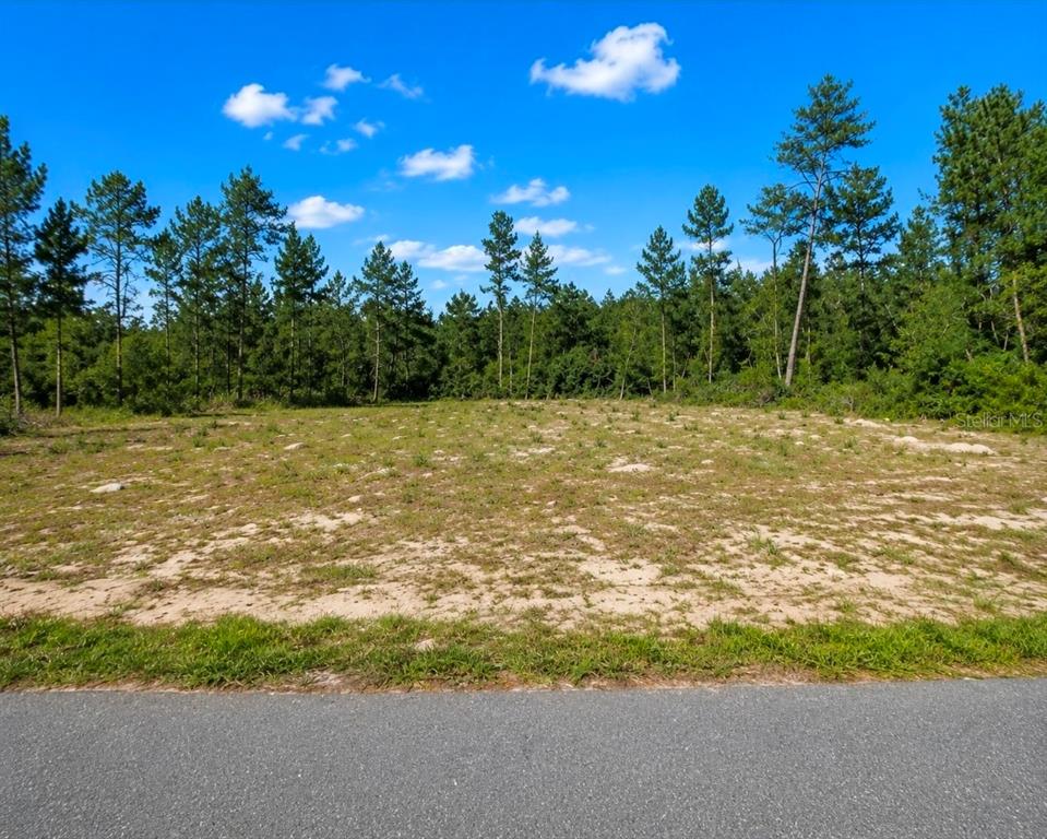 Property for sale at TBD SW 20TH COURT ROAD, OCALA, FL, 34473
