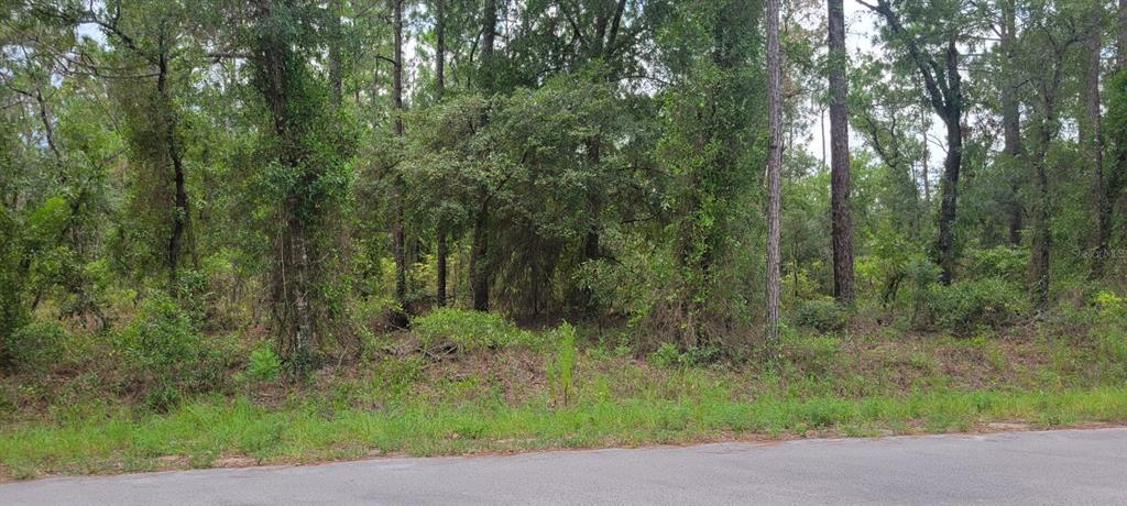 Property for sale at 0 NW HIGHVIEW AVENUE, DUNNELLON, FL, 34431
