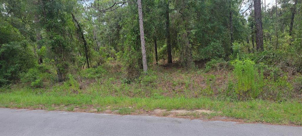 Property for sale at 0 NW HIGHVIEW AVENUE, DUNNELLON, FL, 34431