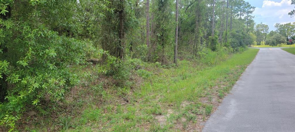 Property for sale at 0 NW HIGHVIEW AVENUE, DUNNELLON, FL, 34431