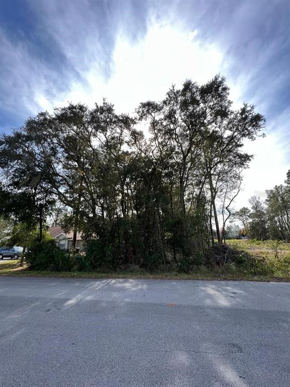 Property for sale at BAHIA TERRACE, OCALA, FL, 34472