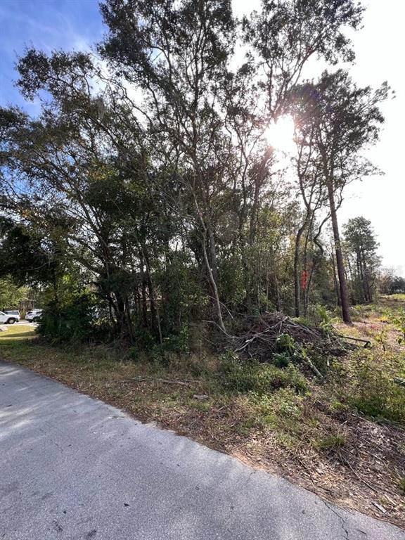 Property for sale at BAHIA TERRACE, OCALA, FL, 34472