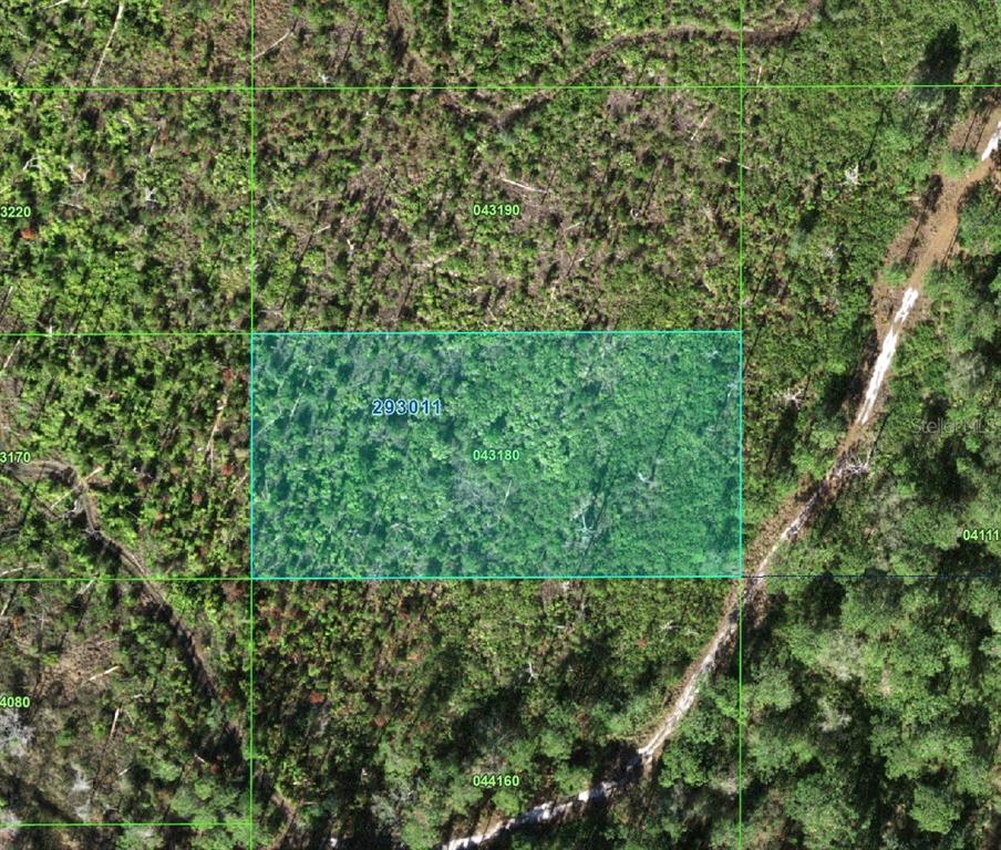 Vacant Land