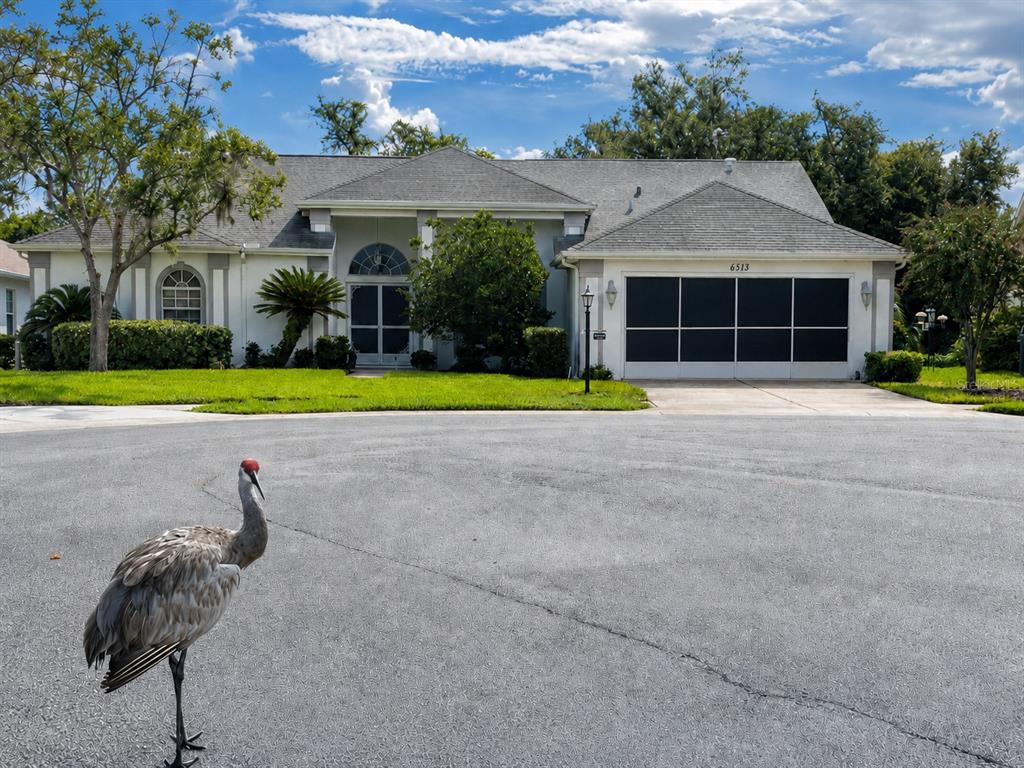 Property for sale at 6513 CARDINAL CREST DRIVE, NEW PORT RICHEY, FL, 34655