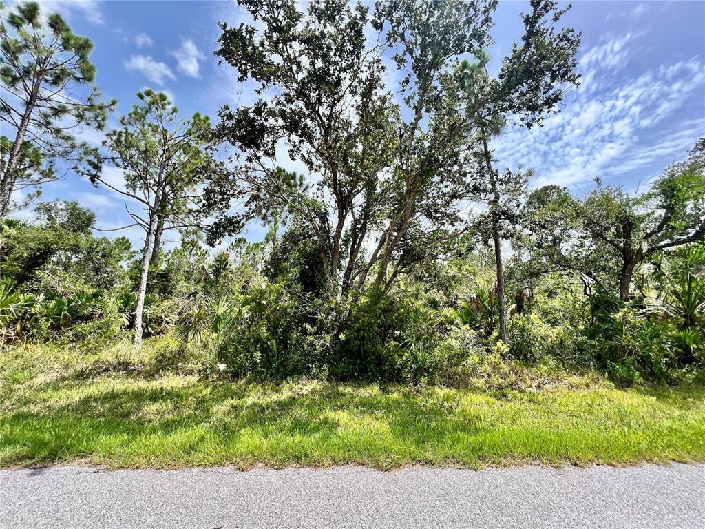 Property for sale at 13377 JOHANNES AVENUE, PORT CHARLOTTE, FL, 33953