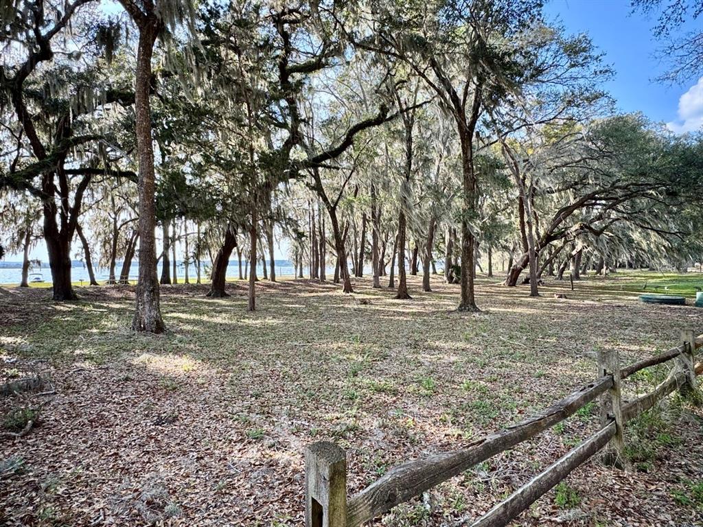Property for sale at 25225 NE 141ST LANE NE, SALT SPRINGS, FL, 32134