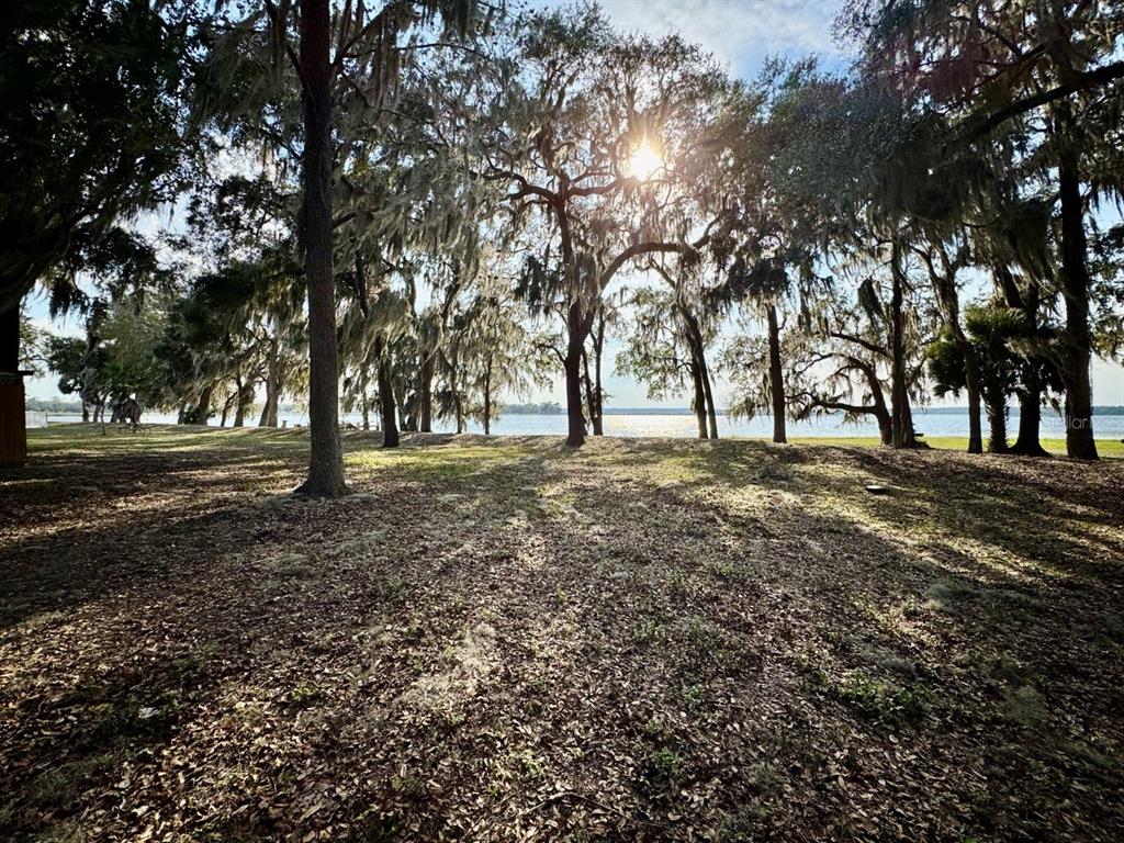 Property for sale at 25225 NE 141ST LANE NE, SALT SPRINGS, FL, 32134