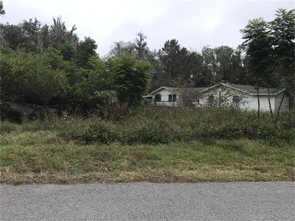 Property for sale at 3057 CR 431N, LAKE PANASOFFKEE, FL, 33538