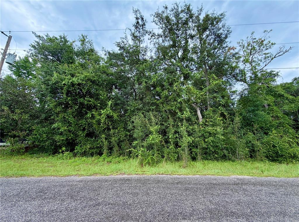 Property for sale at 0 SE 175TH TER RD, SILVER SPRINGS, FL, 34488