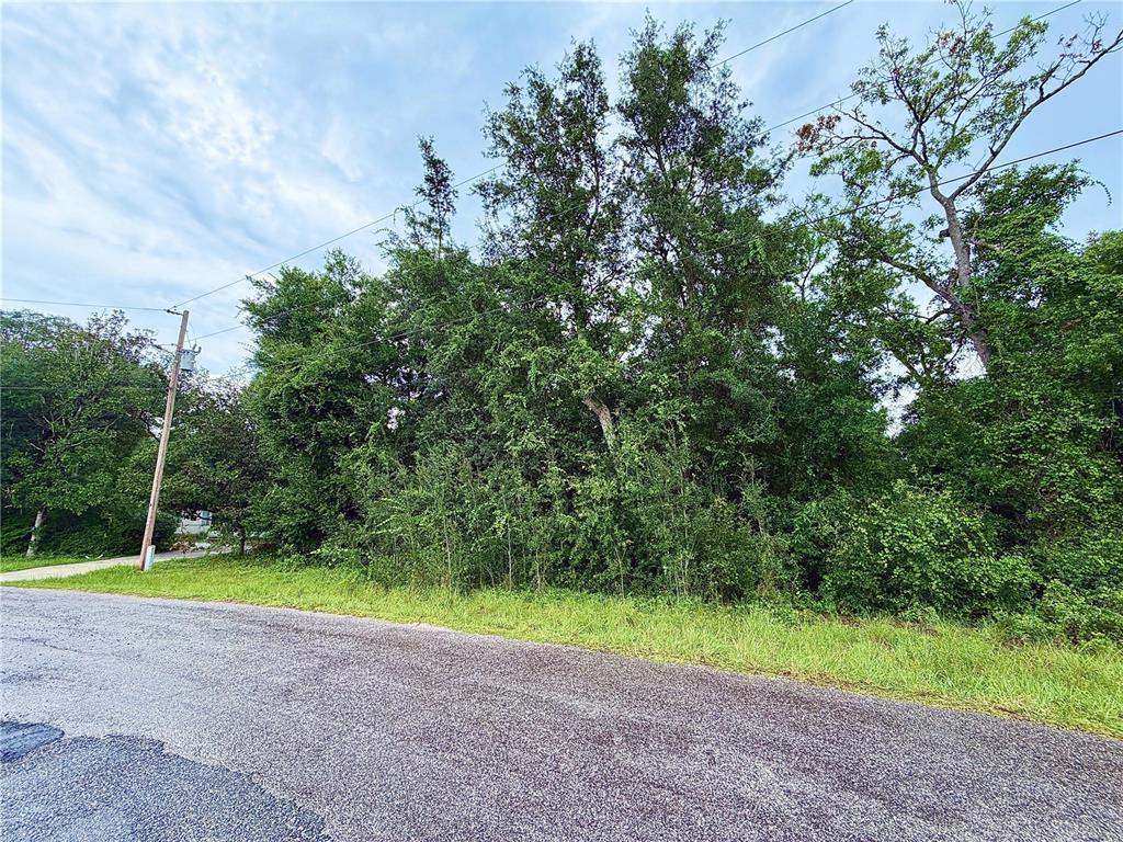 Property for sale at 0 SE 175TH TER RD, SILVER SPRINGS, FL, 34488