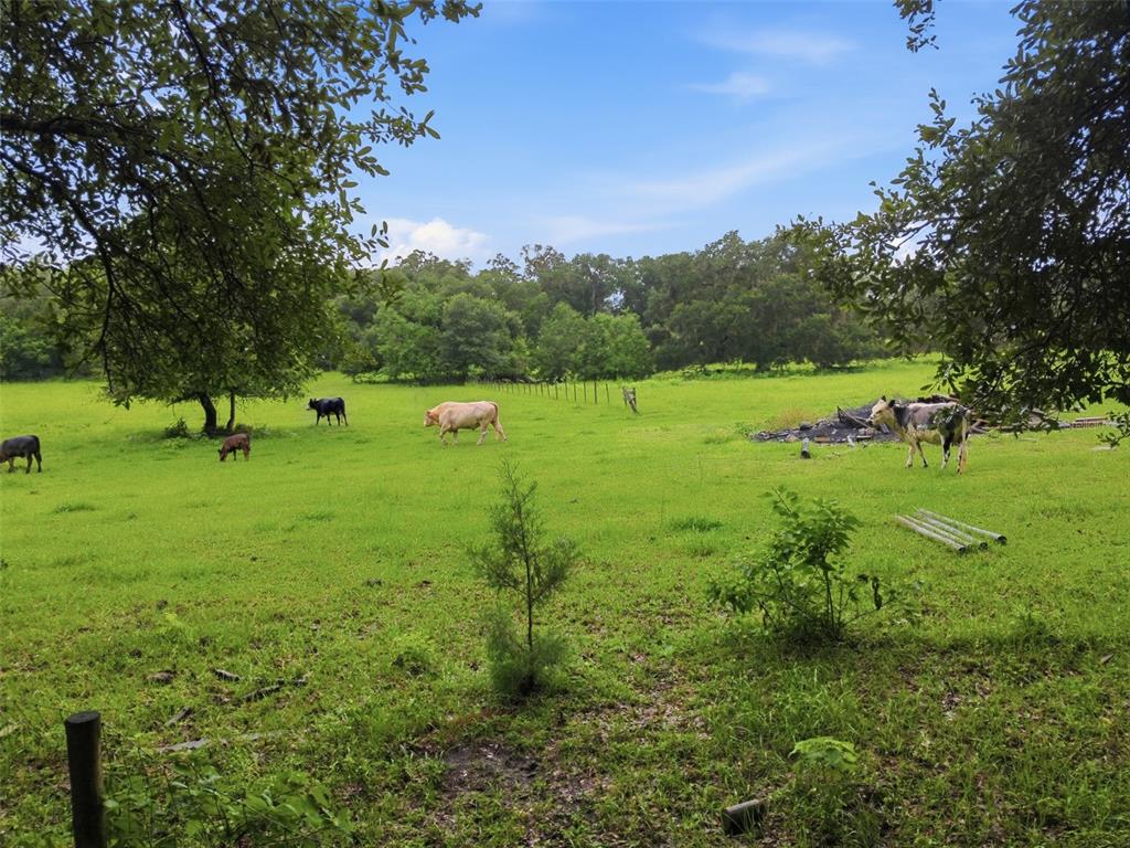 Property for sale at 9299 WEATHERLY ROAD, BROOKSVILLE, FL, 34601