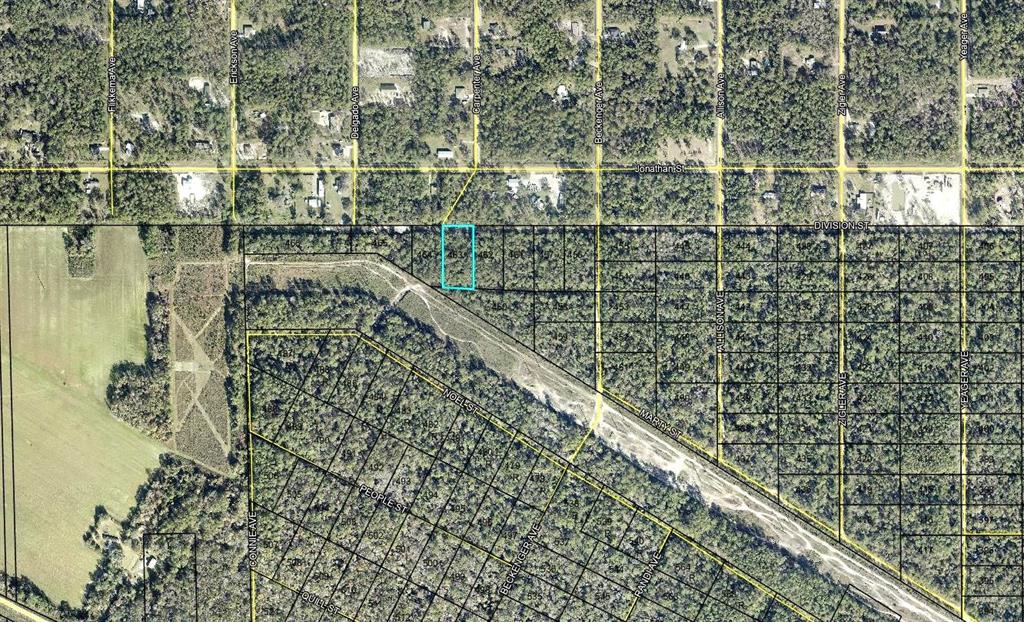 Property for sale at 463 DIVISION STREET, HASTINGS, FL, 32145
