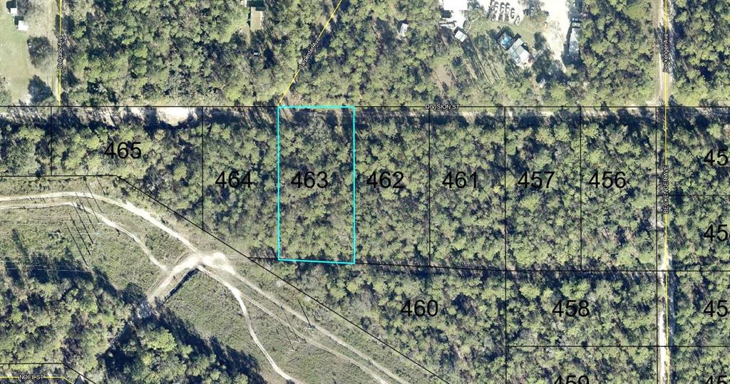 Property for sale at 463 DIVISION STREET, HASTINGS, FL, 32145
