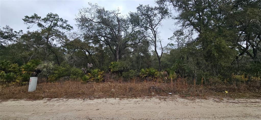 Property for sale at SW 155TH STREET, DUNNELLON, FL, 34432