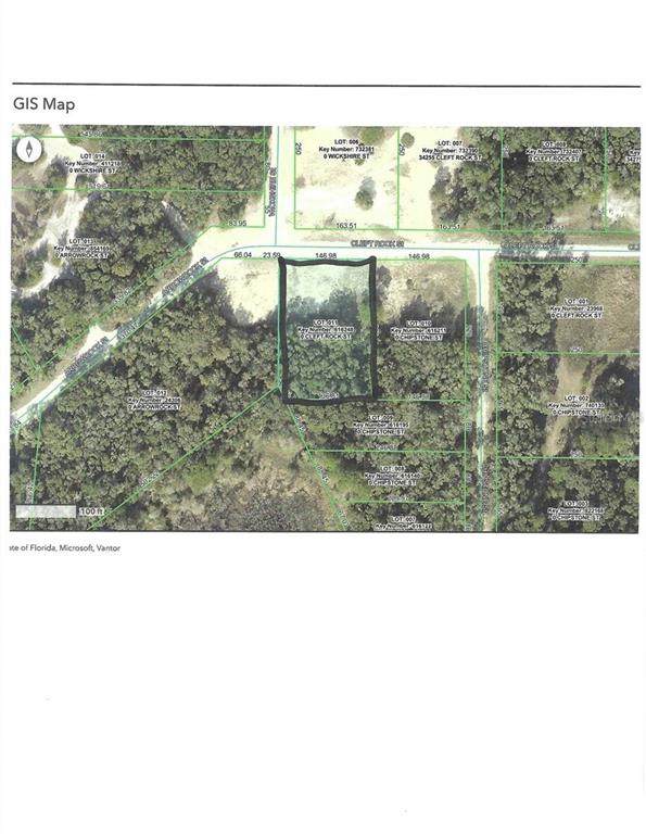 Property for sale at CLEFT ROCK ST, WEBSTER, FL, 33597