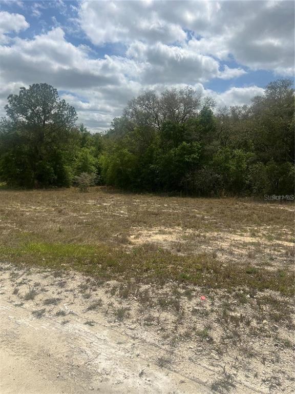 Property for sale at CLEFT ROCK ST, WEBSTER, FL, 33597