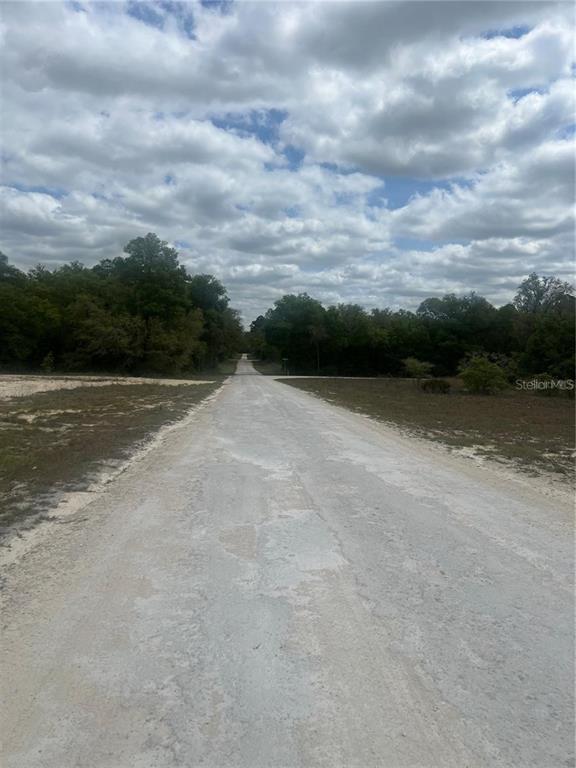 Property for sale at CLEFT ROCK ST, WEBSTER, FL, 33597