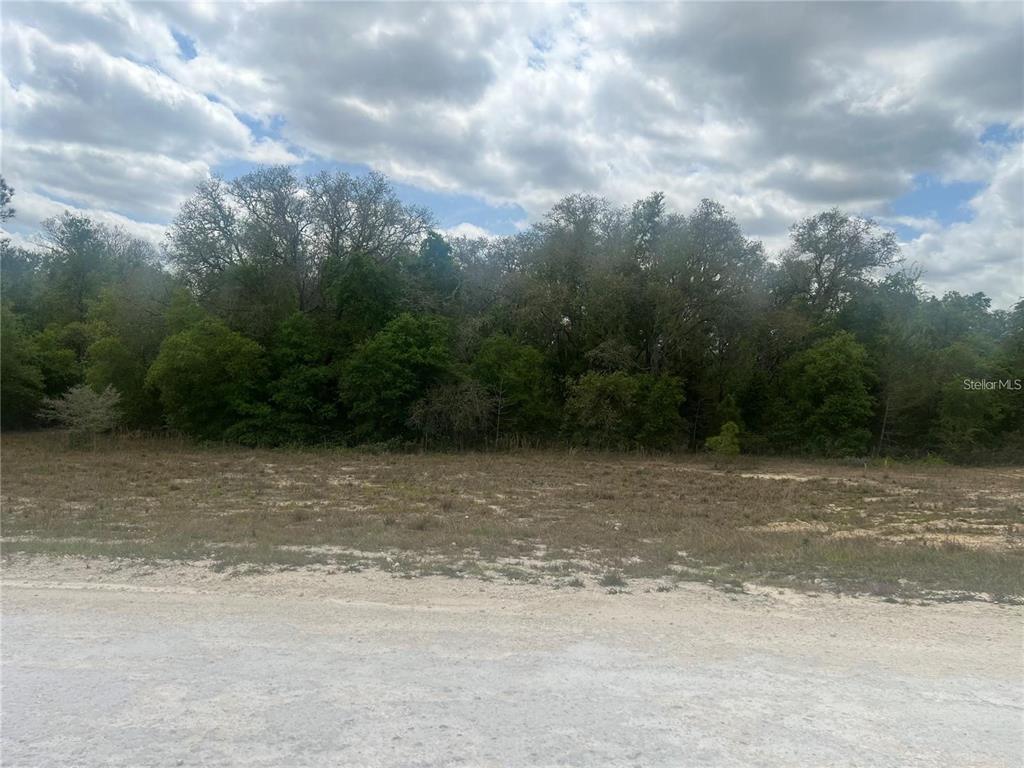 Property for sale at CLEFT ROCK ST, WEBSTER, FL, 33597