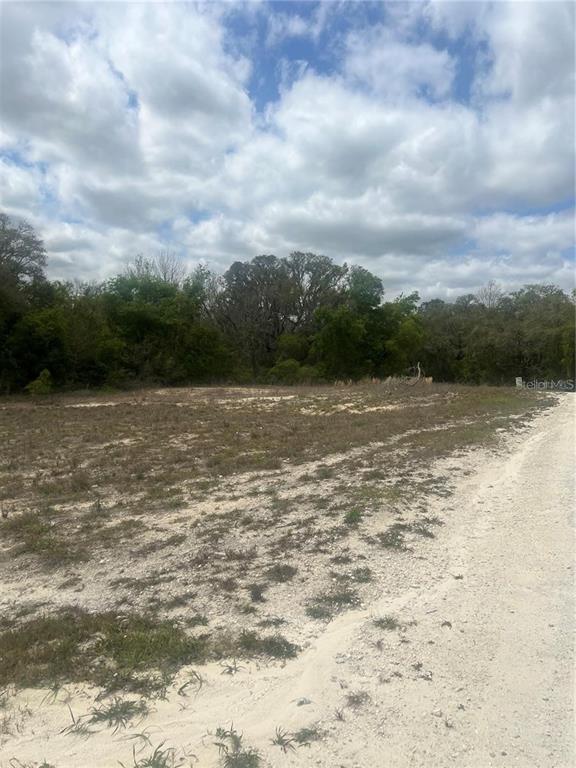 Property for sale at CLEFT ROCK ST, WEBSTER, FL, 33597