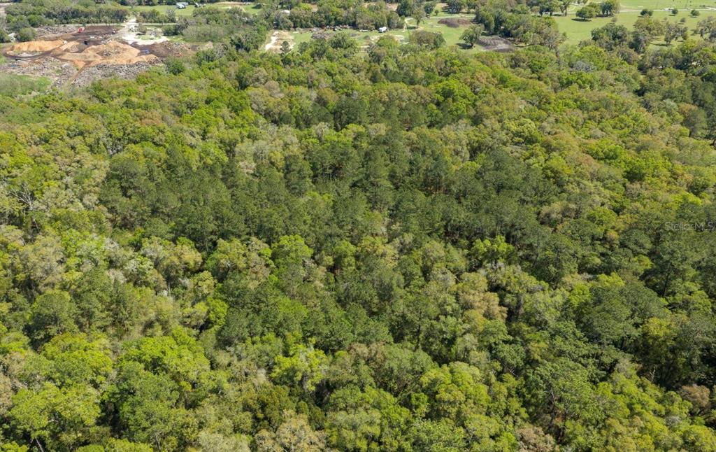 Property for sale at NW 38TH AVENUE ROAD, OCALA, FL, 34482