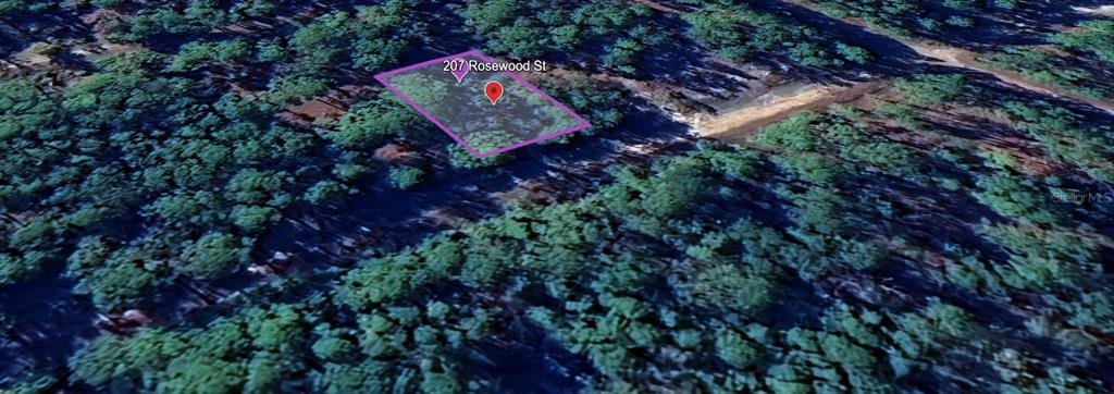 Property for sale at 207 ROSEWOOD STREET, GEORGETOWN, FL, 32139