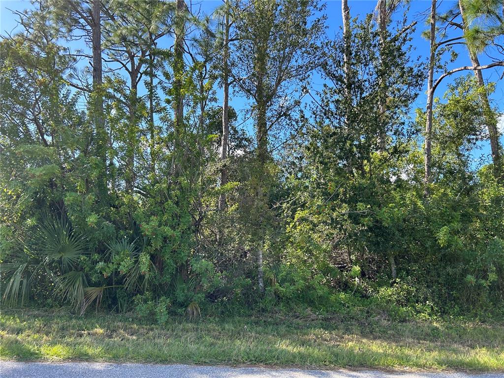 Property for sale at 168 CAPATOLA STREET, PORT CHARLOTTE, FL, 33948
