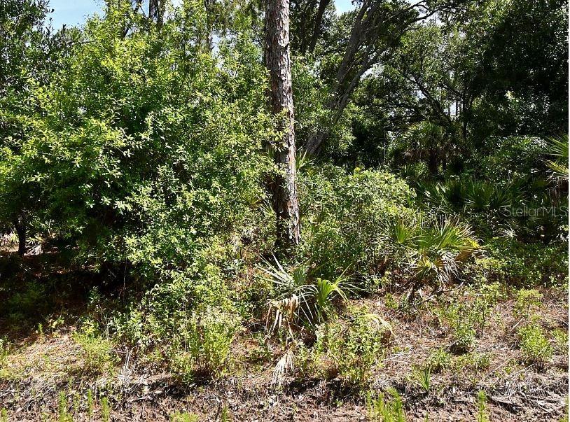 Property for sale at Lot 15 LOVERING AVENUE, NORTH PORT, FL, 34286