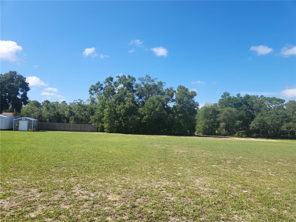 No trees, mowed by neighbor