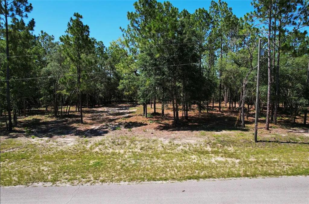 Property for sale at SE COUNTY ROAD 337, MORRISTON, FL, 32668
