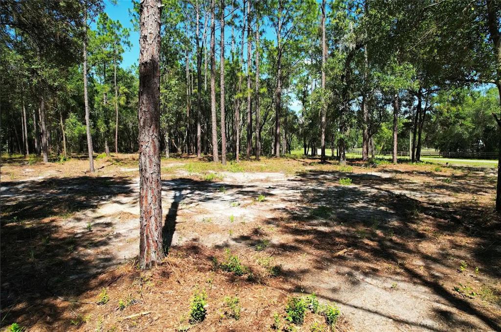 Property for sale at SE COUNTY ROAD 337, MORRISTON, FL, 32668
