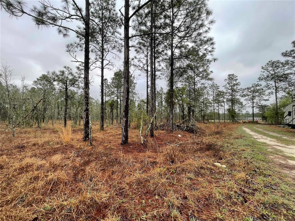 Property for sale at TBD SE 71 STREET, MORRISTON, FL, 32668