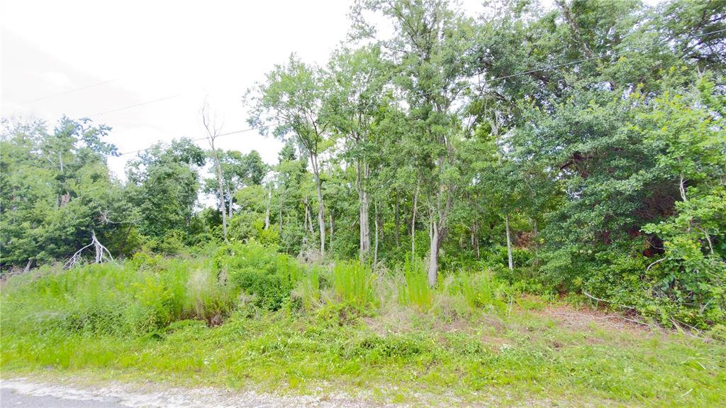 Property for sale at 7402 LAND DRIVE, WESLEY CHAPEL, FL, 33545