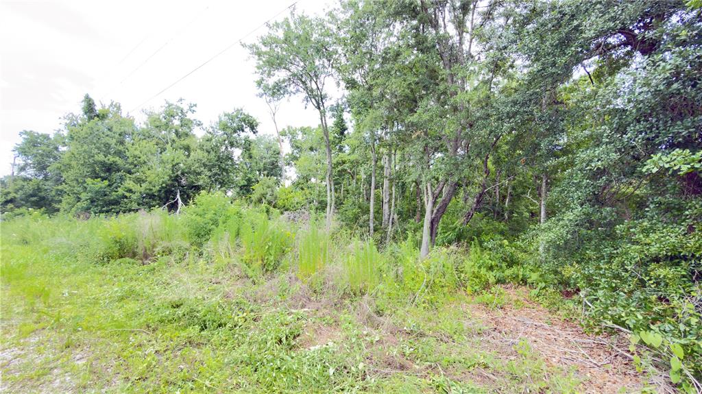 Property for sale at 7402 LAND DRIVE, WESLEY CHAPEL, FL, 33545