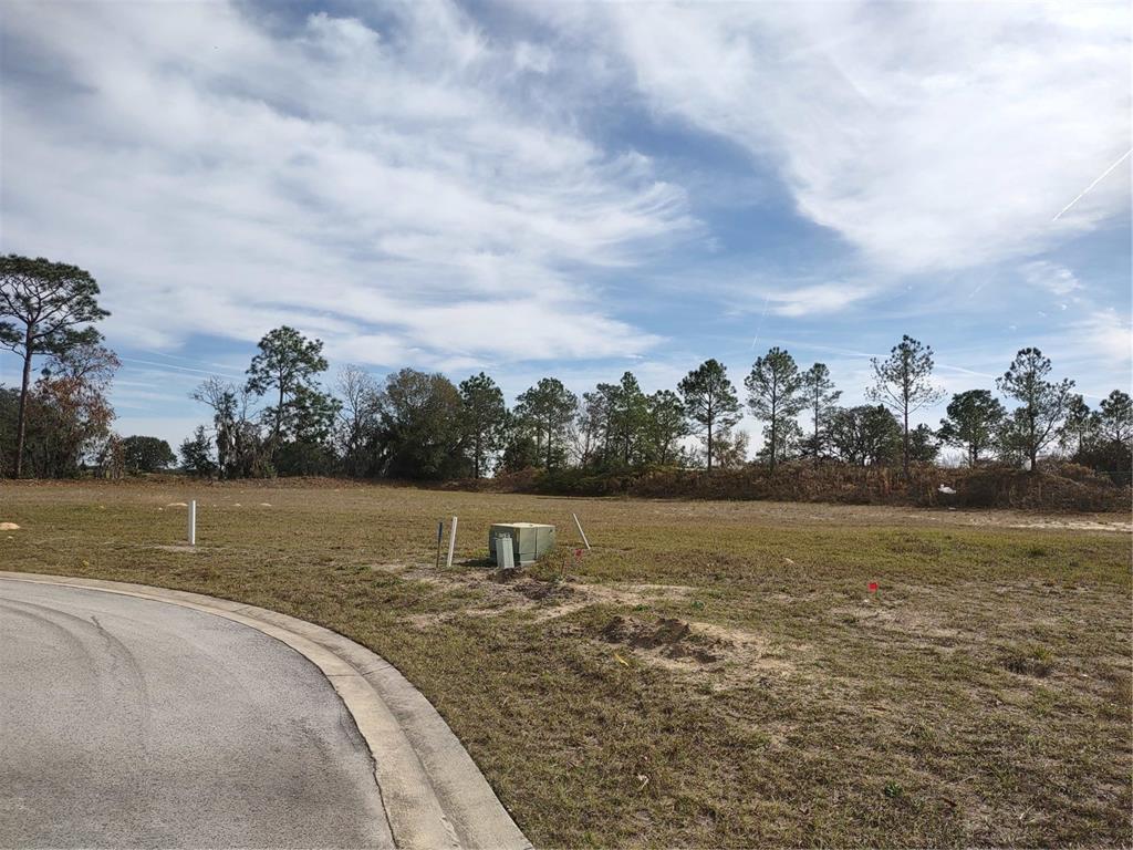 Property for sale at 6400 SW 180 CIRCLE Lot 29, DUNNELLON, FL, 34432