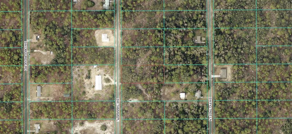 Property for sale at 0 TBD SW TAMIAMI PLACE, DUNNELLON, FL, 34431