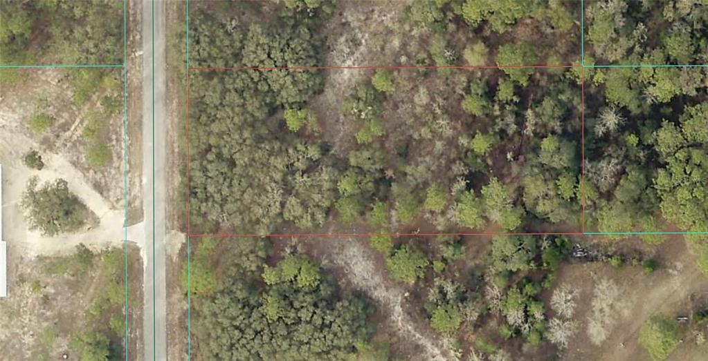 Property for sale at 0 TBD SW TAMIAMI PLACE, DUNNELLON, FL, 34431